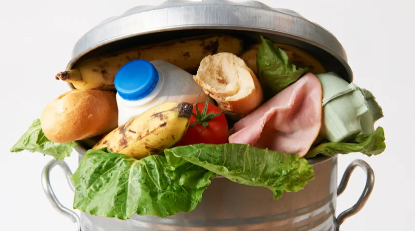 Food-production leftovers used as a starting point for Mi Terro biomaterial development